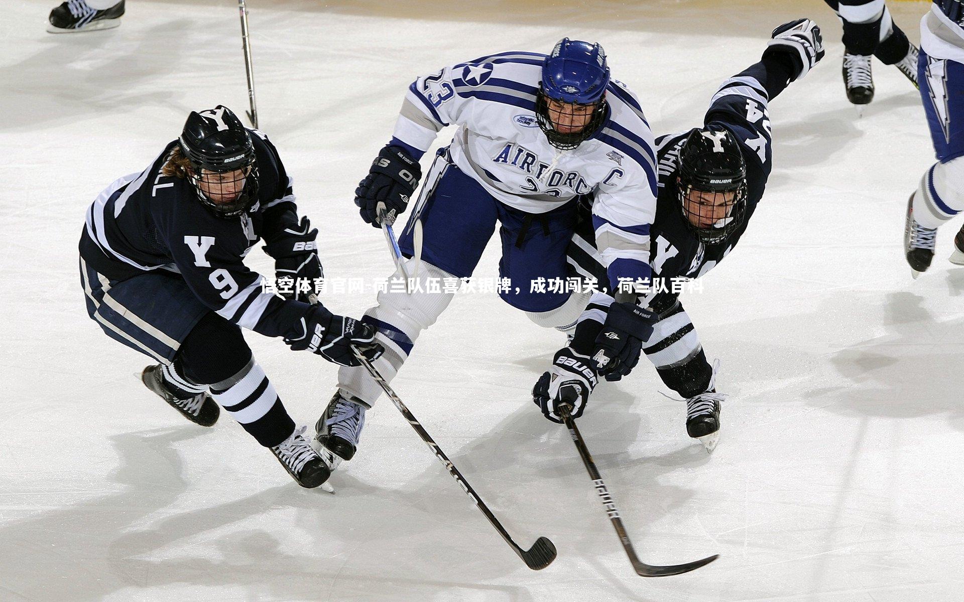荷兰队伍喜获银牌，成功闯关，荷兰队百科