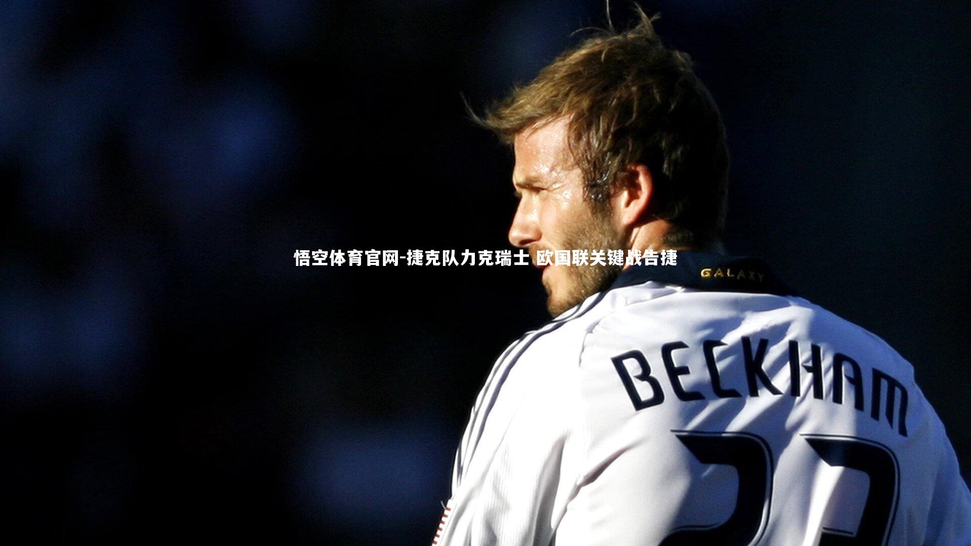 捷克队力克瑞士 欧国联关键战告捷