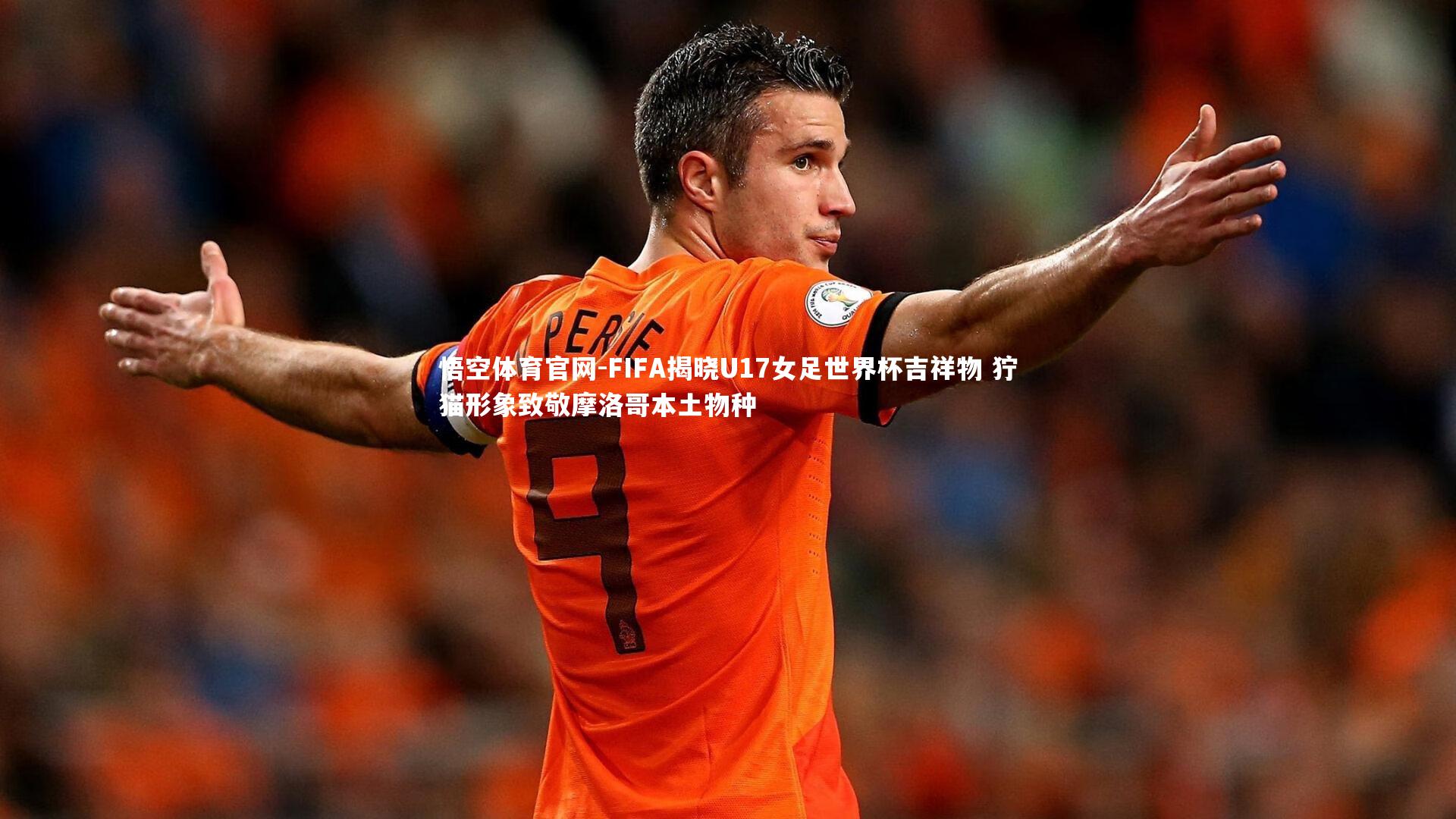 FIFA揭晓U17女足世界杯吉祥物 狞猫形象致敬摩洛哥本土物种