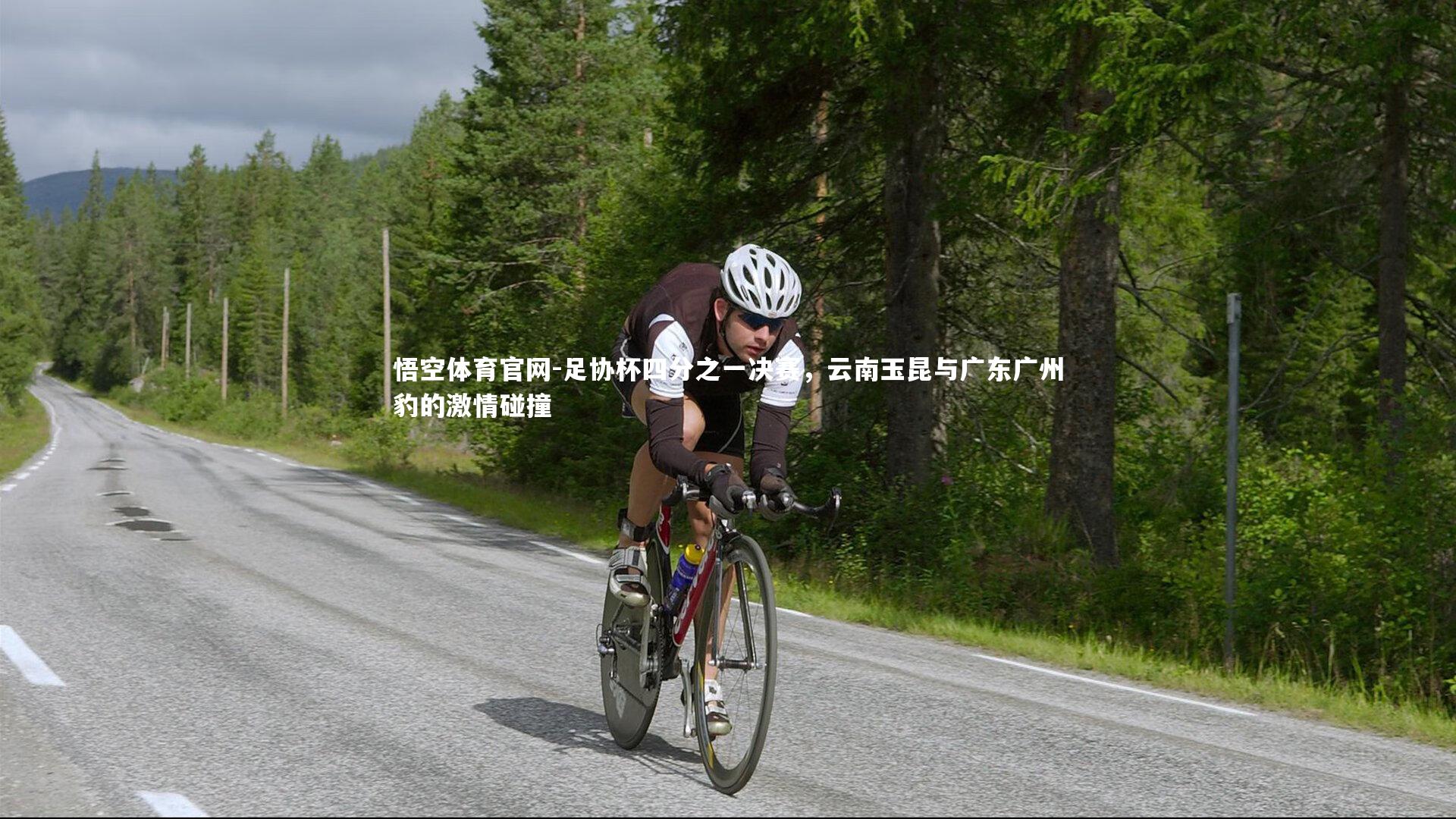 足协杯四分之一决赛，云南玉昆与广东广州豹的激情碰撞