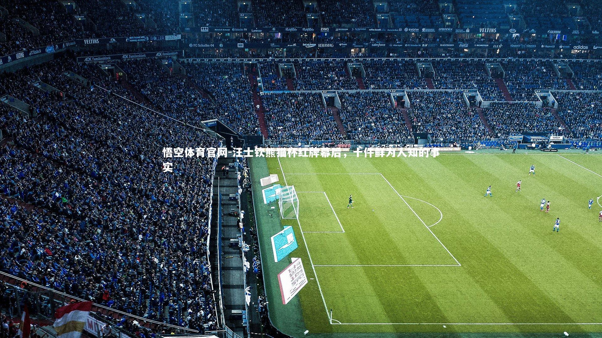 汪士钦熊猫杯红牌幕后，十件鲜为人知的事实